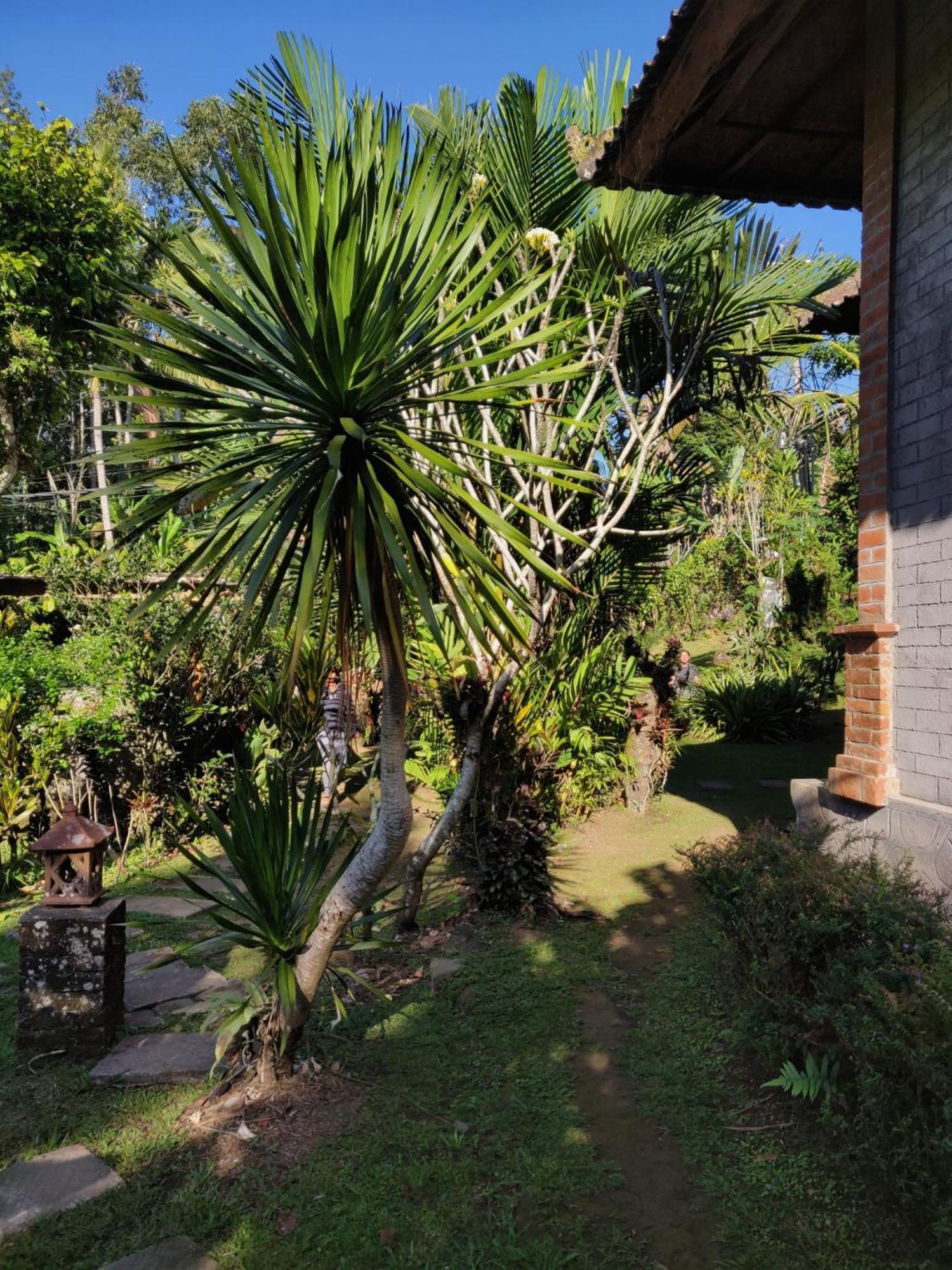 Dina Home Stay Jatiluwih Exterior foto