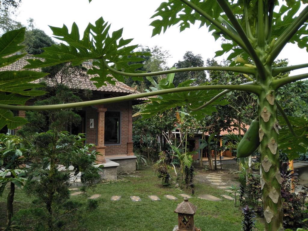 Dina Home Stay Jatiluwih Exterior foto
