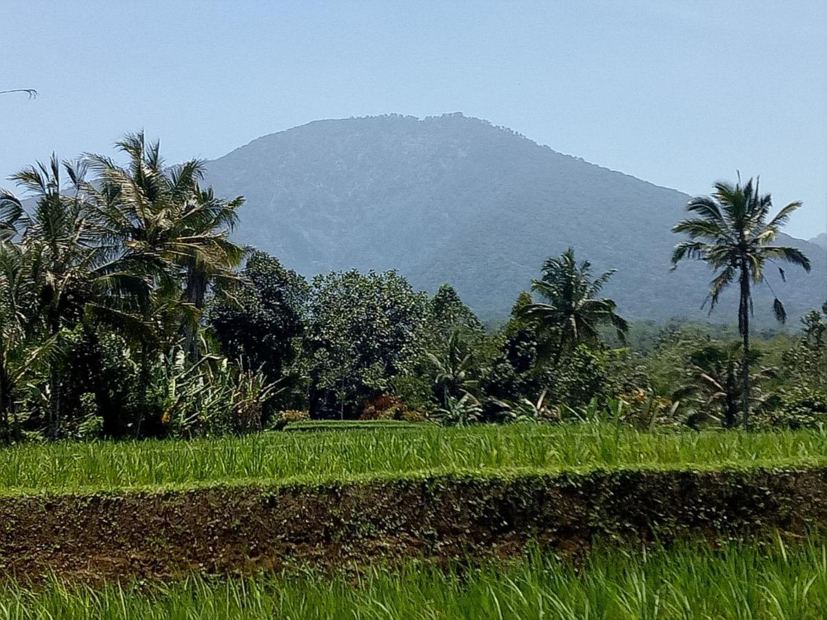 Dina Home Stay Jatiluwih Exterior foto